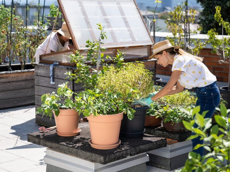 ​What is Urban Farming and is it Profitable?
