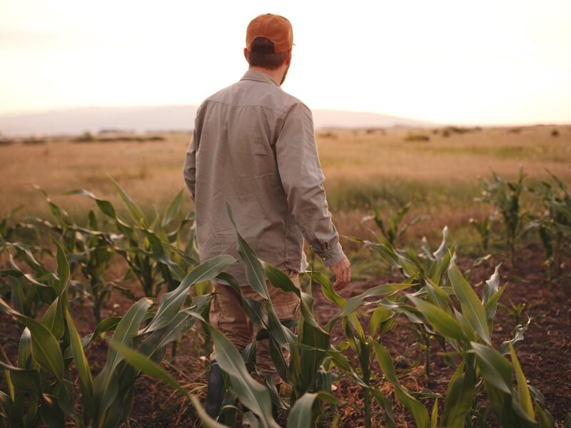 ​How to Start Farming with No Money: Your Guide to Success