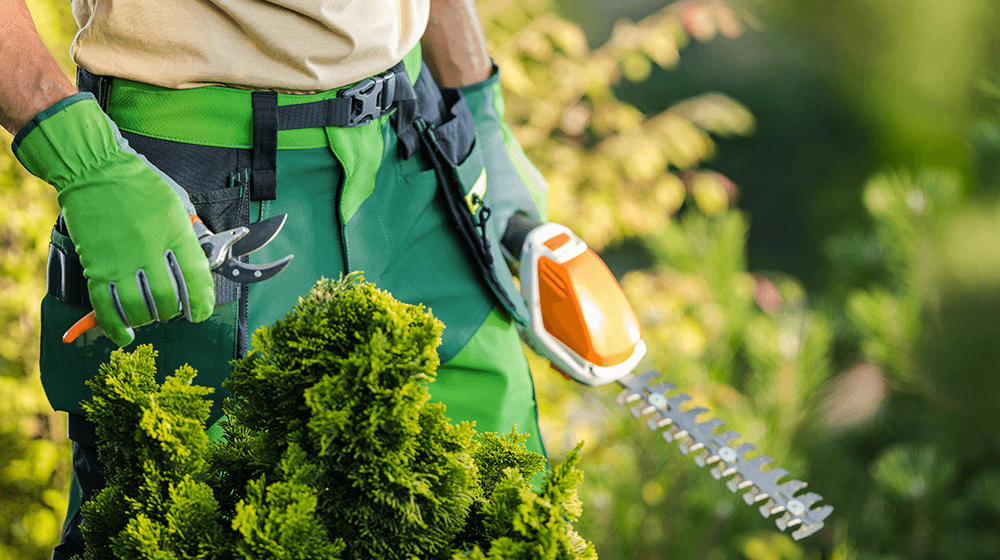 ​Landscaping Tools – Your List for Starting a Business