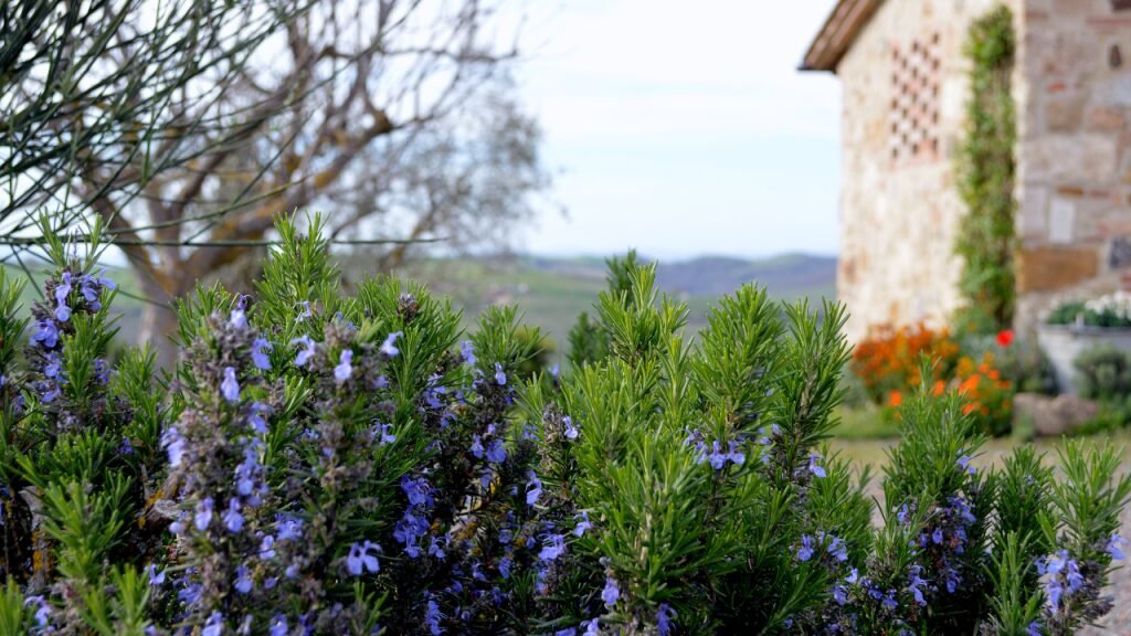 ​What is Agritourism?