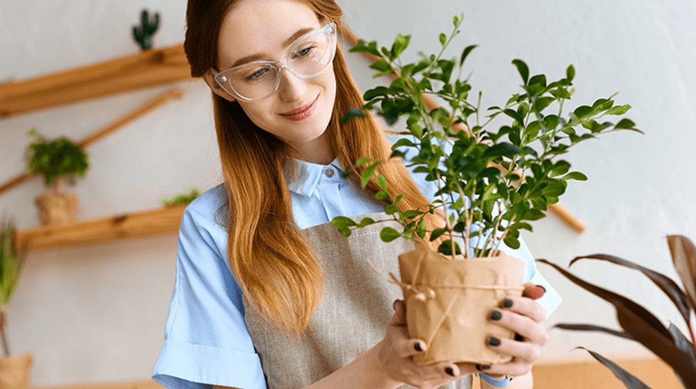 ​How to Start a Plant Nursery