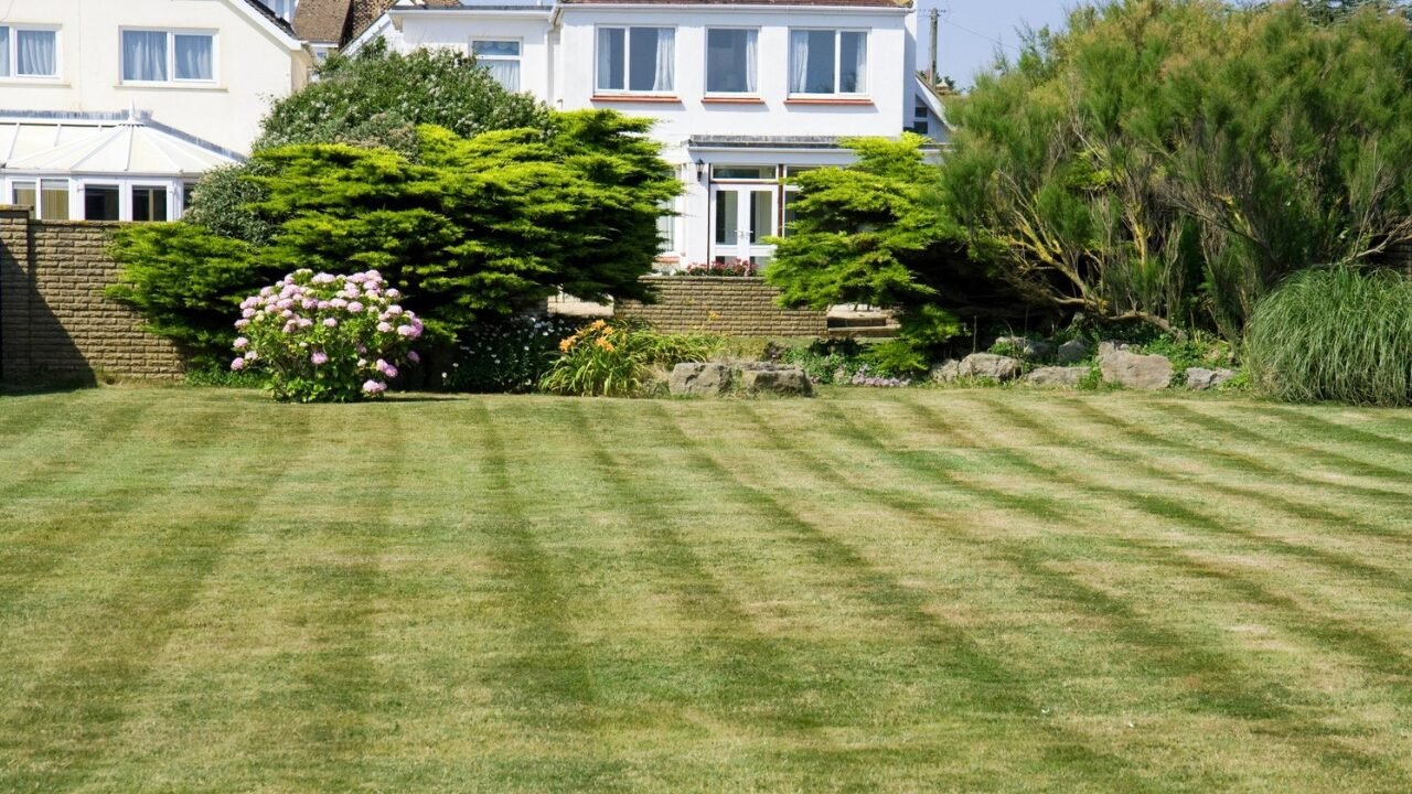 ​How to Start a Lawn Care Business