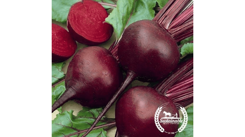 ​Beet Seeds to Grow on Your Farm and Sell