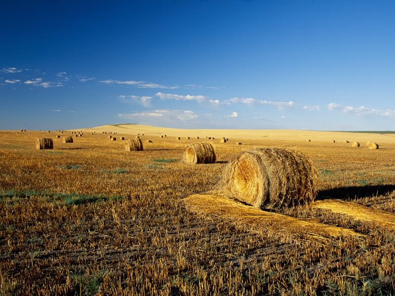 ​How to Start a Hay Farm