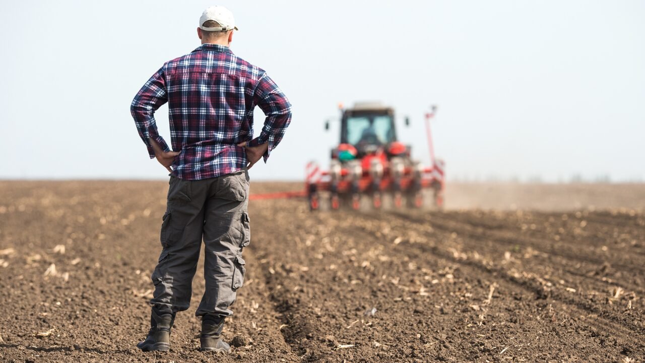 ​How to Start a Farm Successfully: From Backyard to Barnyard