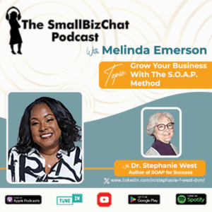 ​The SmallBizChat Podcast: Grow Your Business with the S.O.A.P. Method with Dr. Stephanie West