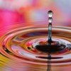 ​5 Essential Sales Training and Development Strategies